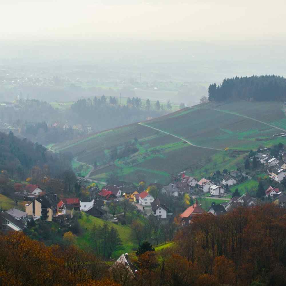 jobsuche waldshut tiengen buchhalter